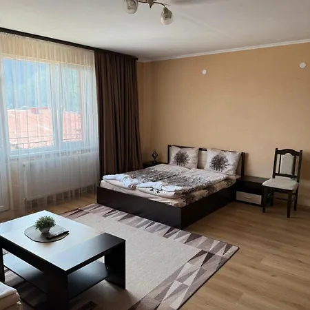 елеганс 3*